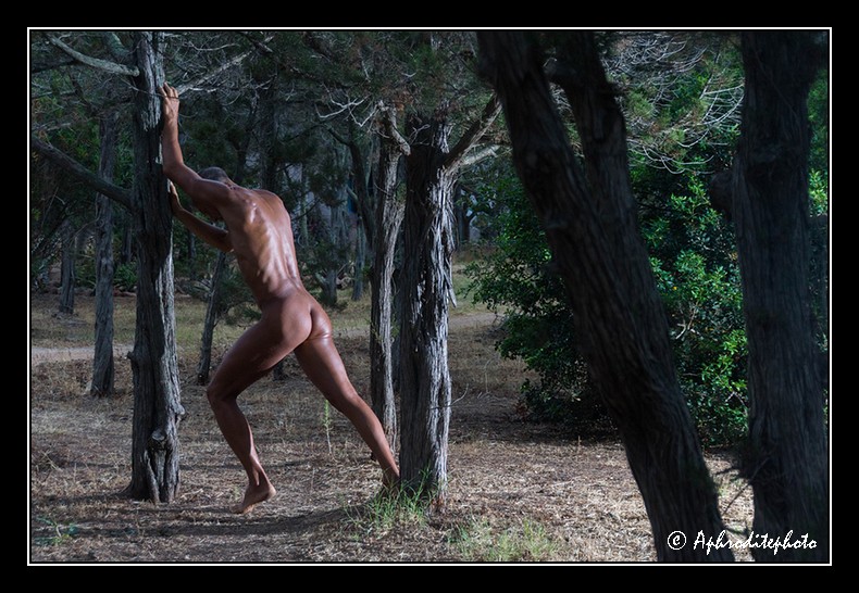 005 Exercice matinal 3